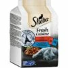 Sheba Fresh Cuisine 36x50g Taste Of Paris -ANIMONDA Verkäufe 00045d4d4a2313bc45e4d34ebd1b6104f8127a36 9b65a4bc2f1a07f23dfab76bad3283fa55d05f28