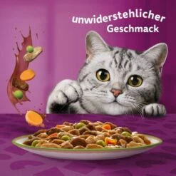 Whiskas Tasty Mix Multipack Chef's Choice In Sauce 60 X 85g -ANIMONDA Verkäufe 00442002c36da7f8b13802a1093e87c1e37cdc7c 1410719 de DE Whiskas 6