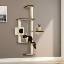 Silvio Design Wandkratzbaum Mabel -ANIMONDA Verkäufe 00d394709fdae2fe14716fa5745b36c74ff03f54 cc5b403e8381af2309c72762799eeee1ad8c4563