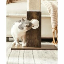 FEANDREA Katzenkratzbaum Kratzsäule 73cm -ANIMONDA Verkäufe 011120cba8789320a75b230d3b90b8814d7c764c 1483578 de DE e037a8954e76e323e540d1ec597d6182a987795ehLWNuf