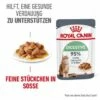 ROYAL CANIN Digest Sensitive 12 X 85 G -ANIMONDA Verkäufe 02cd4f8503e56273aee38cea6f577cdce78ac71b 1100873 1