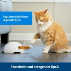 PetSafe Automatisches Katzenspielzeug Fox Den -ANIMONDA Verkäufe 038232be25f9015ce160251d628e0af5cabbc69f 1351524 de DE dbeb3a30744bbc866a12a3ecd4f619007abf0a14xn8Dpf