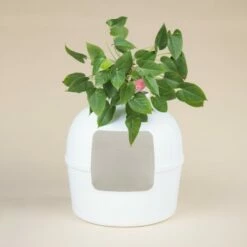 RHR Quality Katzentoilette Flower XXL -ANIMONDA Verkäufe 045c34da52ea42a8ca93faa0ffc4384eb81e7dd2 1641853 de DE 9141ae2b51dfaf3b5b7cf3a1ab485e45a4e63ee0Obqwe6