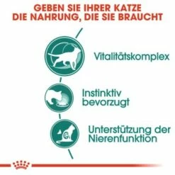ROYAL CANIN Instinctive 7+ 12x85g 12 ROYAL CANIN Instinctive 7+ 12x85g -ANIMONDA Verkäufe 07ce704db89acdcd342ab4f8722ee964b96fd593 b0c1ad53ce90ad3ba42a1efee6650521bc1fe8d8