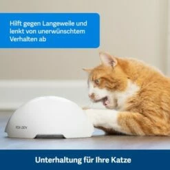 PetSafe Automatisches Katzenspielzeug Fox Den -ANIMONDA Verkäufe 08408a2d9006c3b10c605053b082403622980ada 1351524 de DE 8502feb5da21e0ab937dc8c82ecaeac4aebee886lllVcE