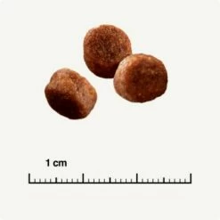 SELECT GOLD Digestion Senior Geflügel Und Reis 2,5kg 12 SELECT GOLD Digestion Senior Geflügel Und Reis 2,5kg -ANIMONDA Verkäufe 0999645de19e34aac9b2c14ea642717fe4bc62d2 1001086008 de DE 6