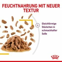 ROYAL CANIN SENSORY Taste In Soße Für Wählerische Katzen 12x85g -ANIMONDA Verkäufe 09a059de2364eb51bda32aeffa36bbd6d1f3bdb1 8f299c34d454dffa470c5aa2d50e9f03e2c503d0