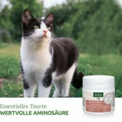 Aniforte Taurin 100g -ANIMONDA Verkäufe 0bea68d016a7aabae30732000f396c44a019efd7 1472617 de DE b3dae817e7a2eb80d599635916b5cd68212f13aaKMDIbR