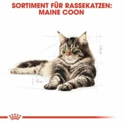 ROYAL CANIN Maine Coon Adult 10 Kg -ANIMONDA Verkäufe 0dcdda8125bffac6c60d8bc613414dd3e537f3f9 4a409b86bb290f85c8a45c0d5080bc56aabf2ae3