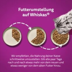 Whiskas Mega Pack 1+ Klassische Auswahl In Sauce 40 X 85g -ANIMONDA Verkäufe 0e5fe8fde24fd1b4a1231a4050188d4590331ea5 1410718 de DE Whiskas 4
