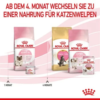 ROYAL CANIN Mother & Babycat 2 Kg 6 ROYAL CANIN Mother & Babycat 2 Kg – Bild 4