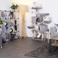 Lionto Kratzbaum, Höhe 145 Cm Hellgrau -ANIMONDA Verkäufe 122c244c647c296ede5aa361c9cd786a7712c527 1657026 de DE d094e9b08439ab095a3aa15534f5fb5efb3245e9TYtsil