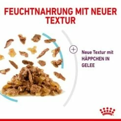 ROYAL CANIN SENSORY Feel In Gelee Für Wählerische Katzen 12x85g -ANIMONDA Verkäufe 15b7f43bf7d21e68f6a5f585ba869435e3d81722 19a1526453e48e05c977a1660234eaf969ffc1a7