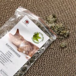 Canadian Cat Company Kratzbrett Jumbo Galaxy Naturfarben -ANIMONDA Verkäufe 15f33cdb3620a749e8bdfb4f536a0abb3dc43bd0 1191174 de DE 123fe6ce29843ad69a0f6a192bef7bb1b4f32d83FBY33A