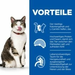 Hill's Science Plan Light Mature Adult 7+ Mit Huhn 7 Kg 12 Hill's Science Plan Light Mature Adult 7+ Mit Huhn 7 Kg -ANIMONDA Verkäufe 172b6acbb24caf66178d710c08a2d84ed4deb860 52742761602 4