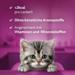 Whiskas Snacks Milch-Kätzchen 8x55g 15 Whiskas Snacks Milch-Kätzchen 8x55g -ANIMONDA Verkäufe 1ba2212093ff5f5112c9f8822d1a7925e37090ed 1335585 de DE Whiskas 4