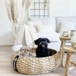 District 70 COCOON Natural M -ANIMONDA Verkäufe 1db584284c497361442002ba80ca8dd9597a35b9 1ad367312153dfaf420d5600b6e8e9dac5cec798