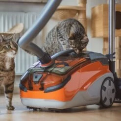 THOMAS AQUA+ Pet & Family 23 THOMAS AQUA+ Pet & Family -ANIMONDA Verkäufe 21e8e8518abc51c946ca914e90765288e3a69832 1408595 de DE b89bf30d7c68d7291af3123da80a610e6c34da4duk7V17