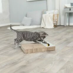 Trixie Kratzpappe Mit Spielzeug 10 Trixie Kratzpappe Mit Spielzeug -ANIMONDA Verkäufe 2922fdbeca6faf723a69257e5e81b0da65bcea01 149772bd00e8a047fa4bf8b07169295e296775d1