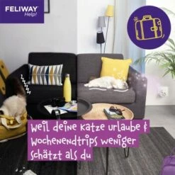 Feliway Help! 3x Nachfüllkartusche Zur Stressreduzierung 21 Feliway Help! 3x Nachfüllkartusche Zur Stressreduzierung -ANIMONDA Verkäufe 29ae770ba9b7f1bf9cec9031f7a2f9aa2f9f9bf4 1380137 6