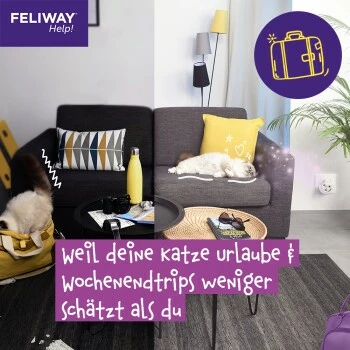Feliway Help! 3x Nachfüllkartusche Zur Stressreduzierung 12 Feliway Help! 3x Nachfüllkartusche Zur Stressreduzierung – Bild 10