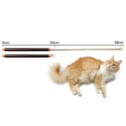 Schlitzohr Stabile Katzenangel Arnold -ANIMONDA Verkäufe 2b03aaa8061d454c3b132f3d29075b579f022315 1484671 de DE 4db6a969e0582cf4b987acff93cb66c6c6149da6OAB1hx