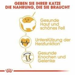 ROYAL CANIN Ragdoll Adult 10 Kg 14 ROYAL CANIN Ragdoll Adult 10 Kg -ANIMONDA Verkäufe 2b7f4d002fcb25d0a160549b35fe8a36048495d4 cfc9c514c254f121c1e52d87d5f81af4ab650af9