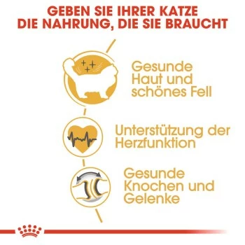 ROYAL CANIN Ragdoll Adult 10 Kg 7 ROYAL CANIN Ragdoll Adult 10 Kg – Bild 5