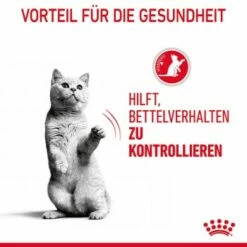 ROYAL CANIN Appetite Control Care 12 X 85 G -ANIMONDA Verkäufe 2baff52405d772a15eb8921bf3aeded5540de702 1344684 1