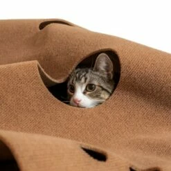 Canadian Cat Company Spielteppich Für Katzen Braun 10 Canadian Cat Company Spielteppich Für Katzen Braun -ANIMONDA Verkäufe 2d410486173eb6739126d1af73ad3230c308a43d 1394213 de DE 2f11fbac0571dcc5ff170aac428c7150347b9b8ccw1yKZ