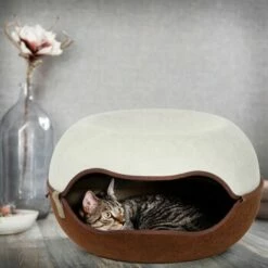 Canadian Cat Company Filz Katzennest 2.0 Weiß -ANIMONDA Verkäufe 2d709df44822ed1c554e77257ea4f2826b7f6ee6 1412670 de DE f4bc2f42c404e1ae32cb86346c8e995f0178b889j3OAow