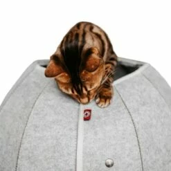 Canadian Cat Company Katzenhöhle In Kugelform S -ANIMONDA Verkäufe 2ecb868df2d3b2cf90a9092caebd3c19caa20008 1347679 de DE 9620a1f8944edc55aec2b992d490644e015c022abD41s1