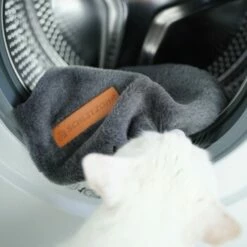 Schlitzohr Ersatzbezug Fensterbankliege 14 Schlitzohr Ersatzbezug Fensterbankliege -ANIMONDA Verkäufe 31be77f1e399f6136043e21b4738926da0a2a857 1484678 de DE ef0a822967d19fb8fa7e91c1bd57dd978a972d89UwPMnu