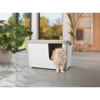 MORE FOR Katzentoilette XXL Titan 6 MORE FOR Katzentoilette XXL Titan – Bild 4