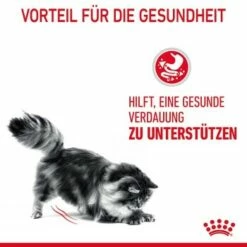 ROYAL CANIN Digestive Care 10 Kg -ANIMONDA Verkäufe 33836b78e4dfe5d72c6cf6742ac3f6af2f72a25c 1084985 4