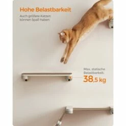 FEANDREA Clickat Katzenbrett Für Die Wand 14 FEANDREA Clickat Katzenbrett Für Die Wand -ANIMONDA Verkäufe 338ade66aef20441d84c6879cbb7cdd9f229234a 1681427 de DE 49f3284dc1e7752ec473d61a07cc5870214b5201yzDhq7