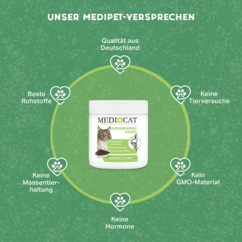 MediCat Ulmenrinde Paste 4 MediCat Ulmenrinde Paste – Bild 2