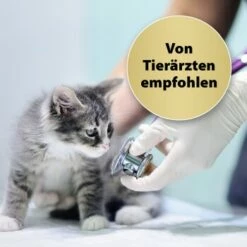 Felisept Home Comfort Set Diffusor + Flakon 45ml -ANIMONDA Verkäufe 35507d0f5a85cfd5ea3b7e2e39231b06ca113304 1667495 1