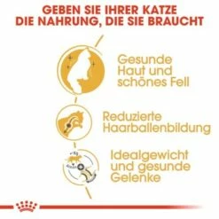 ROYAL CANIN Norwegian Forest Adult 10 Kg -ANIMONDA Verkäufe 35f747f3a246ac1026c8b21a4d6b84d72541816d 27437237589f91031e5751991c906b563ce7ae1f