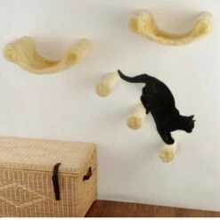 Silvio Design Katzen-Kletterwand Finja 5-teilig 7 Silvio Design Katzen-Kletterwand Finja 5-teilig -ANIMONDA Verkäufe 372850617d084fff6fb87bb8f6d8f5361e8b369a e61d6174e592f3830372ece23a7b9514bbdf1ceb