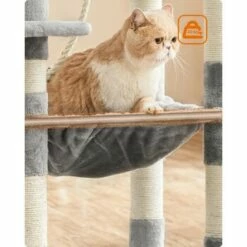 FEANDREA Kratzbaum 143cm Rauchgrau Hellgrau -ANIMONDA Verkäufe 37be2f2514570ac16abd583e226c37e3942fb95e 1483593 de DE a6645c1e24d592fa2f7e2898455d81c2be2800bf3QlXOx