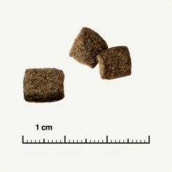 REAL NATURE WILDERNESS Adult Mixpaket Mixpaket 1, Mix-Pack -ANIMONDA Verkäufe 38c9fddfde6e364977836a7419845bd5679c428a 1267097 de DE 6 savannah 1173938004