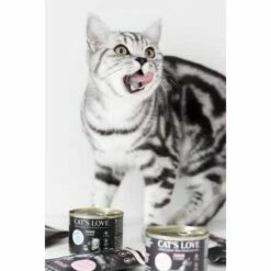 CAT'S LOVE Junior 6x200g -ANIMONDA Verkäufe 3db85c6c04b1b4ea093319cecf4870cce33ef04c 1301970 1