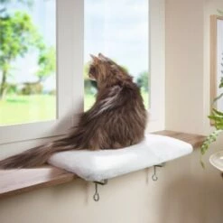 AniOne Fensterliegeplatz -ANIMONDA Verkäufe 3ed1f86bcd38eea7f6bb469869d0ceabbf14e73e 08d7fb7b3ea8513f40155b969787349e3e9059aa