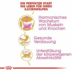 ROYAL CANIN British Shorthair Kitten 2 Kg -ANIMONDA Verkäufe 3feab8717345fb55fe890c564cd1933a92234494 8fcb8d730ecfafe8fb567de5d1188cbf674cf65f