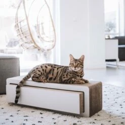 District 70 STRETCH -ANIMONDA Verkäufe 40ba15f27d0de5b2ed79947a776f717623121c9e f8f928c41bc77204b8201f53652812c0de3e651b