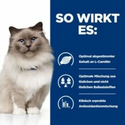 Hill's Prescription Diet Weight Loss R/d Mit Huhn 1,5 Kg -ANIMONDA Verkäufe 4136aeb6e7761220774a7156c9c18f4d4c11e559 e705b74991984d0f27bdc826ecff83edb5fb0b5a
