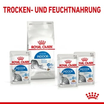 ROYAL CANIN Indoor Sterilised 12x85g In Gelee 5 ROYAL CANIN Indoor Sterilised 12x85g In Gelee – Bild 3