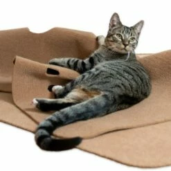 Canadian Cat Company Spielteppich Für Katzen Braun 12 Canadian Cat Company Spielteppich Für Katzen Braun -ANIMONDA Verkäufe 446d45749f5e58cb5a7dbc00eb3558dbe40784fe 1394213 de DE 80770b9625226d955903498b97e7018485822aeeDB3L2u