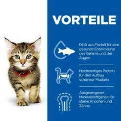 Hill's Science Plan Kitten Multipack Mit Huhn Und Seefisch 12x85 G -ANIMONDA Verkäufe 463b640dbed78dd738a2b07fd8aec2aae4b06733 52742211503 5